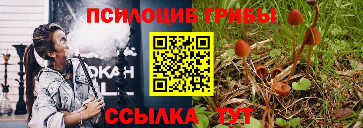 Галлюциногенные грибы Cubensis Керчь